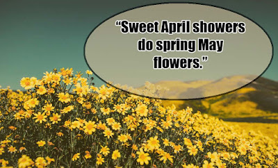 April quotes - Quotes about April - Quotes For April - April images