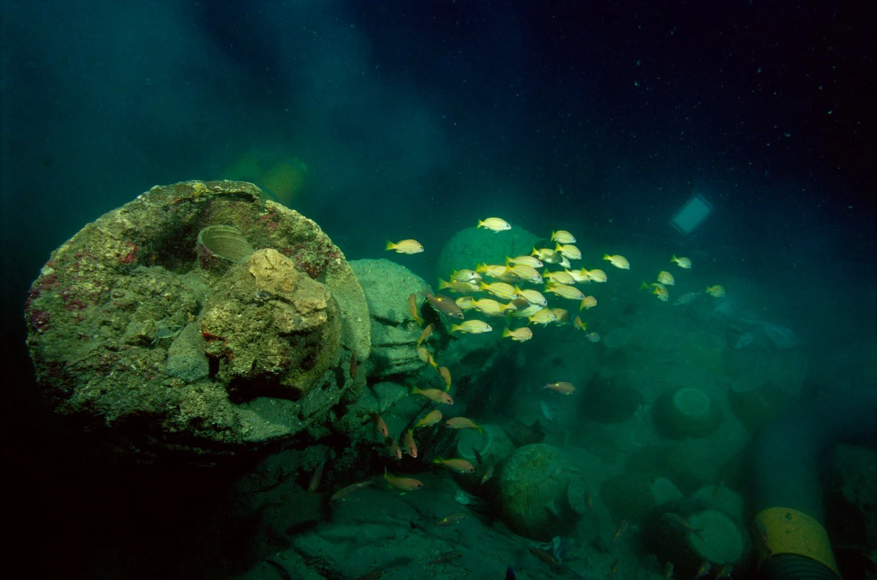 Santa Cruz shipwreck photo