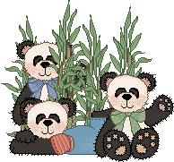 Urso Panda