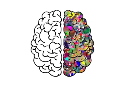 How Food And Drink Affect Your Brain