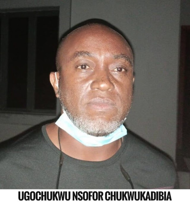 NDLEA Arrests Another Billionaire Drug Baron, Recovers N8.8bn Worth of Tramadol