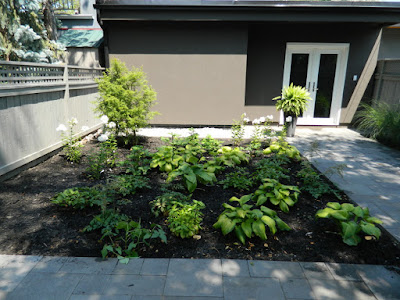 the danforth new garden design after by garden muses--not another Toronto gardening blog