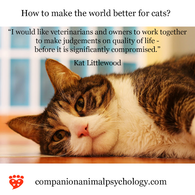 An old cat naps - vets and owners should work together on quality of life