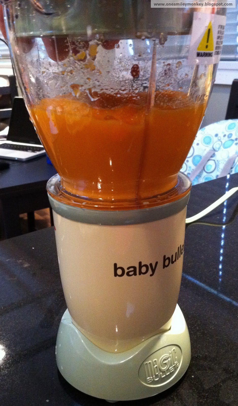 Baby Bullet Baby-Food Maker Review
