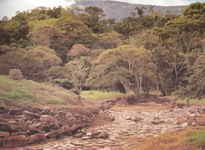 Paisagens Naturais da Costa Rica