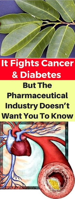 It Fights Cancer & Diabetes But The Pharmaceutical Industry Doesn’t Want You To Know!!!
