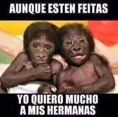 Imagenes chingonas chistosas de amor con mensajes y frases para facebook