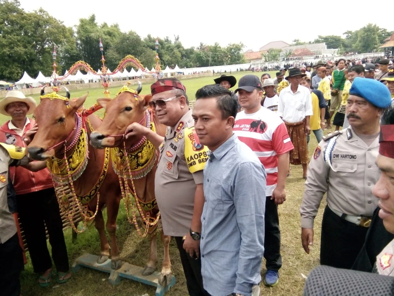 Kapolda Jatim Irjen Polisi Drs. Luki Hermawan M. Si saat melihat Sape Sonok yang memeriahkan Lomba Karapan Sapi dalam rangka Gebyar Budaya Madura 2019