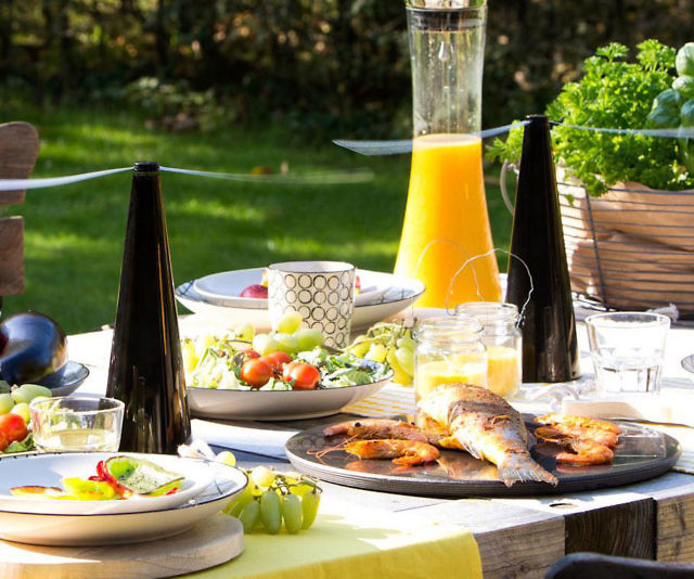 Banish Buzzing Intruders: Unveiling the Ultimate Tabletop Fly Repellent!