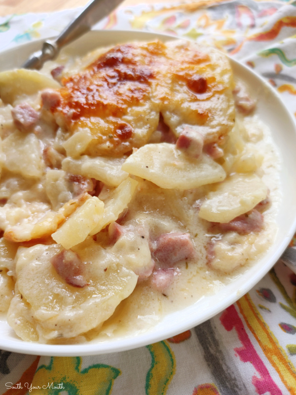 Ham & Cheese Scalloped Potatoes! Creamy scalloped potatoes from the BEST base recipe for a classic, homemade scalloped potato casserole plus leftover ham and swiss cheese.