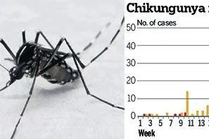 Chikungunya