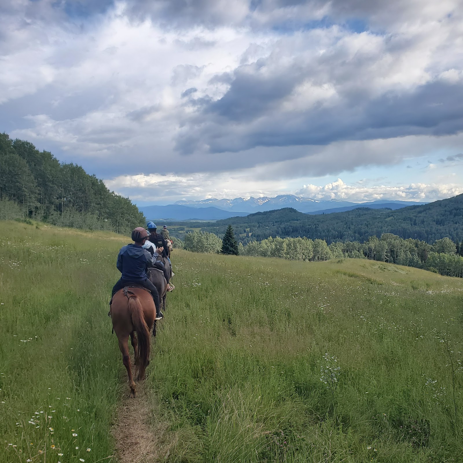 Mountain View Adventures Trail Ride 3 hours