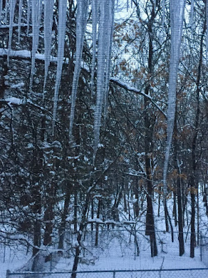 February thaws often grow icicles