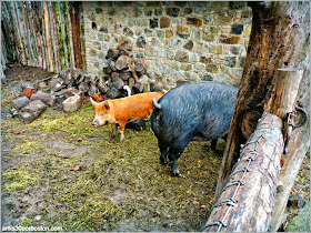 Ruta por las Bodegas del Valle de Napa: Animales en el Castello di Amorosa