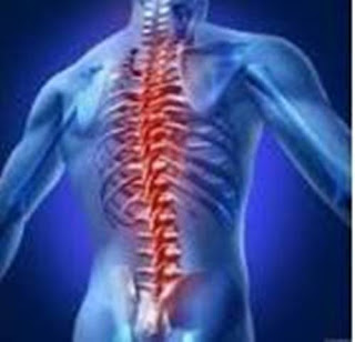 Grayslake Chiropractor