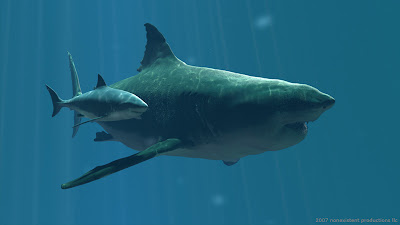 Megalodon