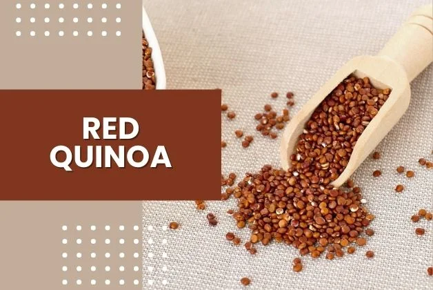 Nutritional Value of Cooked Quinoa: Red Quinoa in Wooden Spoon