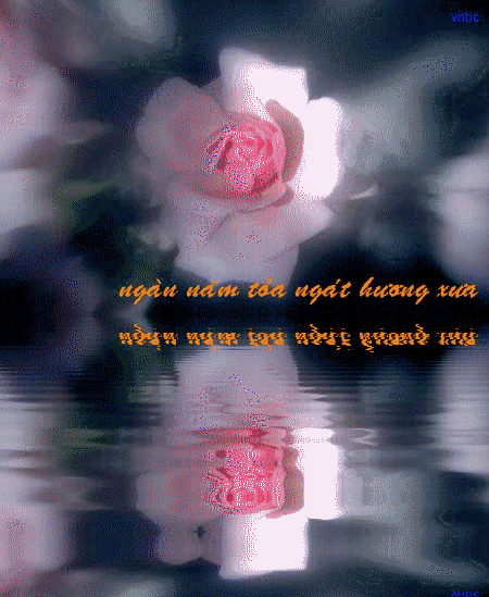 anh-thiep-vu-lan (6)