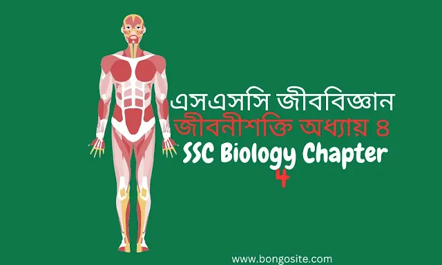এসএসসি  জীবনীশক্তি অধ্যায়-৪  এসএসসি জীববিজ্ঞান  SSC Biology Chapter-4