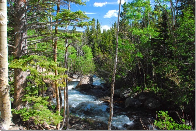 06-23-14 A RMNP Alberta Falls Loop (83)