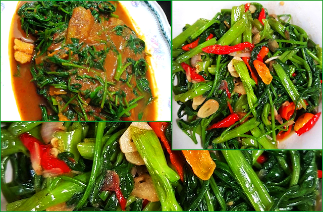 Resep Tumis Kangkung Kreasi Masakan Sehat dan Lezat