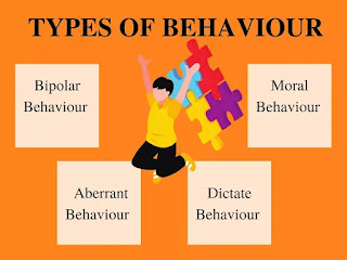 What are the Types of behaviour