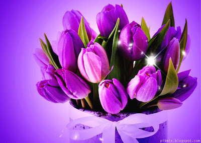 Bouquet de tulipanes violeta