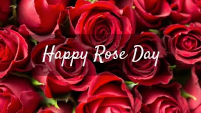 Happy Rose Day Pics