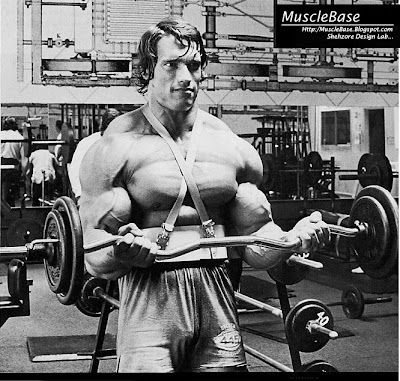 arnold schwarzenegger bodybuilding. arnold schwarzenegger