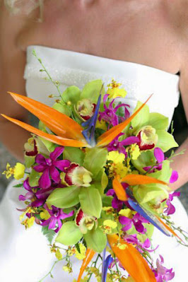 A Colorful Tropical Wedding Theme