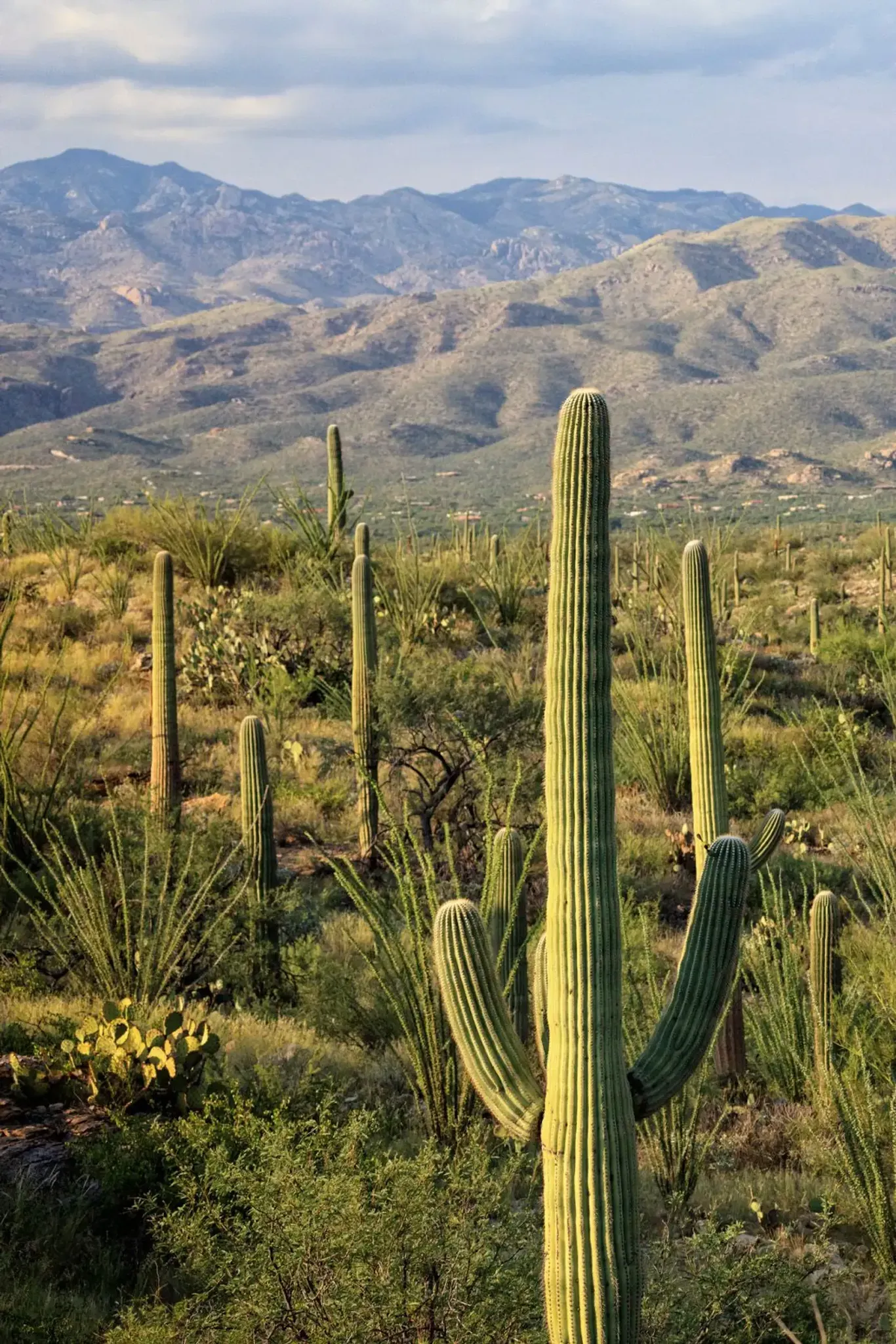 National Parks in Arizona