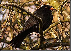 IMG_8900