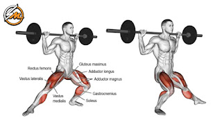 15 Best Leg Exercises and Workout for Muscle & Strength