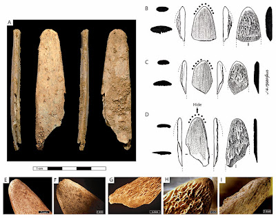 Neanderthals, not modern humans, made first bone tools