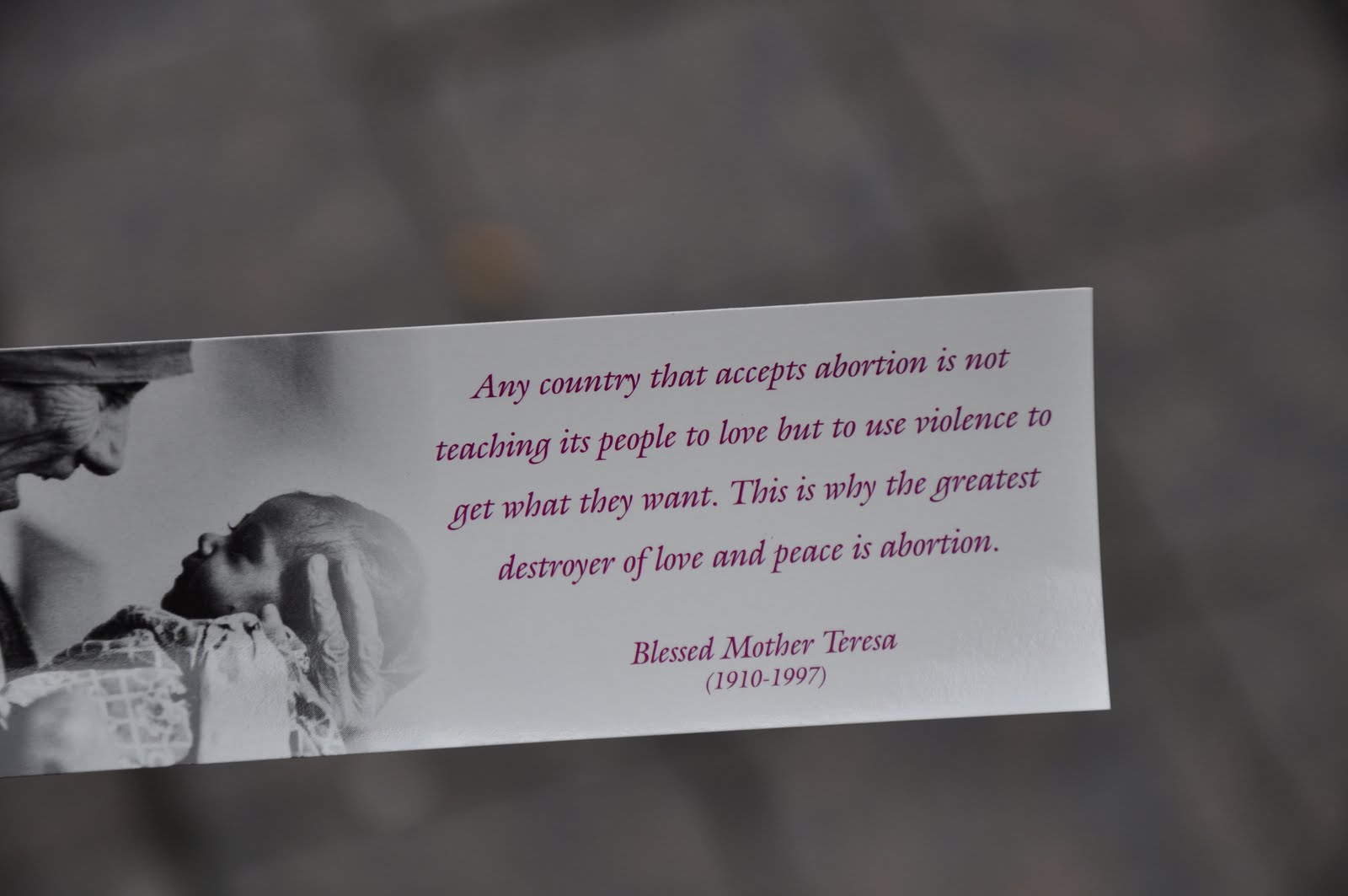 quotes about pro life orbis catholicus secundus mother teresa on