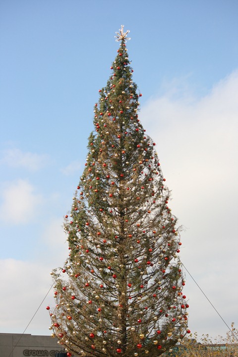 january 2012 022