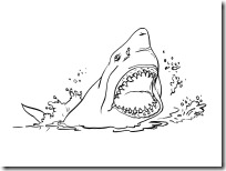 tiburon blogcolorear (2)