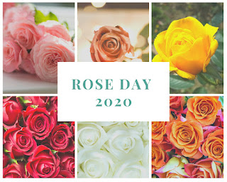 Rose Day 2020