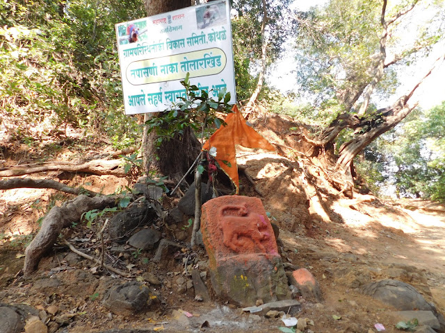 तोलारखिंड येथिल वाघ्रशिल्प