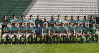 REAL BETIS BALOMPIÉ - Temporada 1980-81 - Diego Soto (preparador físico), Diarte, Peruena, Francis, Campos, Carriega (entrenador), Álex, Gerardo, Tello, Gordillo, Biosca, Morán y Rogelio (2º entrenador); Bizcocho, Benítez, Segundo, Ramón, Pedro Clavijo, Cardeñosa, Ortega, Parra, López, Pozo, Esnaola y Vicente Montiel (masajista). Plantilla del Real Betis Balompié para la temporada 1980-81.