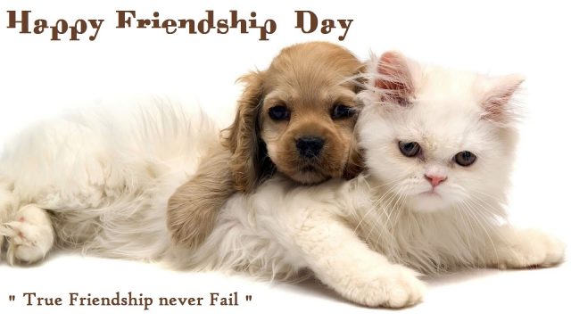 Friendship Day Quotes Images for Facebook