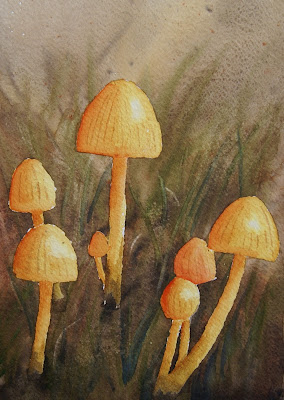 Danielle Beaulieu watercolour of mushroom