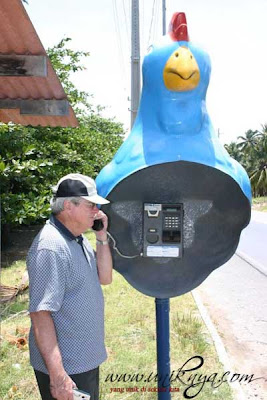 Telepon umum berbentuk ayam