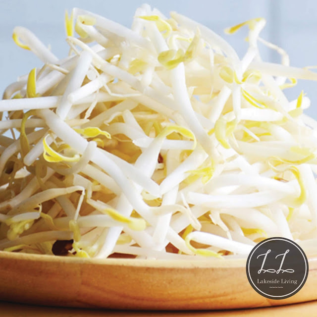 How to Refresh and Store Bean Sprouts