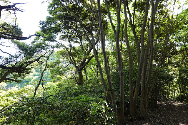 島根県松江市美保関町美保関 ウォーキングコースからの眺望