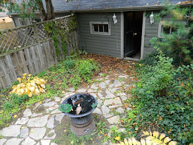Leslieville Toronto Fall Cleanup After by Paul Jung Gardening Services--a Toronto Gardening Services Company