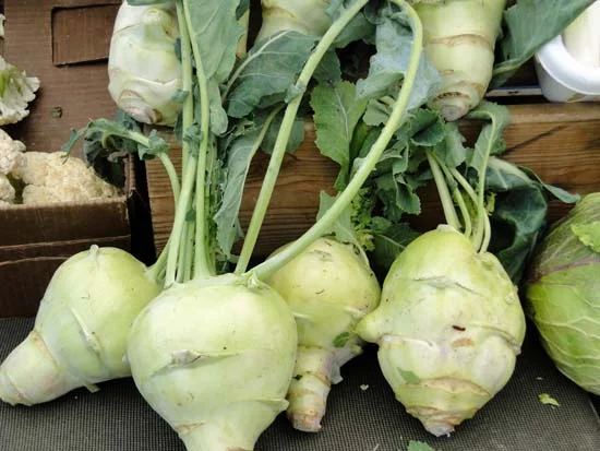 How to eat and cook kohlrabi