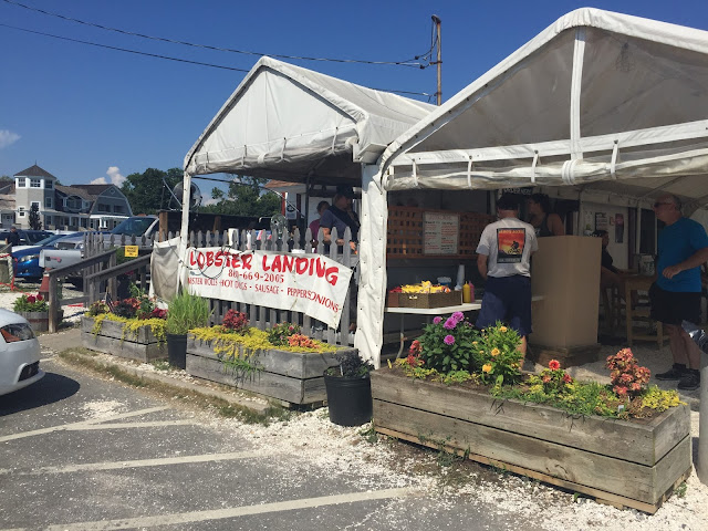 Ordering Counter and Seating in the Shade at Lobster Landing of Clinton, Connecticut 