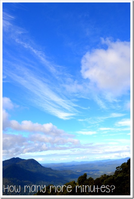 Dorrigo National Park | How Many More Minutes?