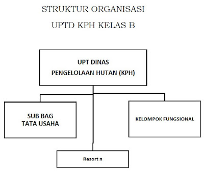 Struktur organisasi UPTD Kesatuan Pengelolaan Hutan (KPH) Kelas B